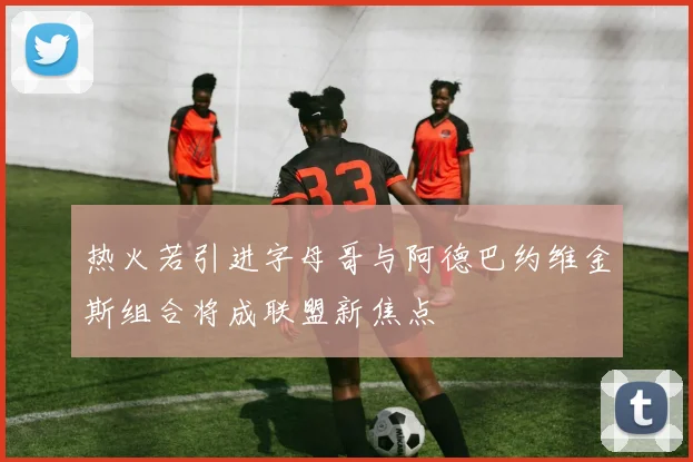 热火若引进字母哥与阿德巴约维金斯组合将成联盟新焦点