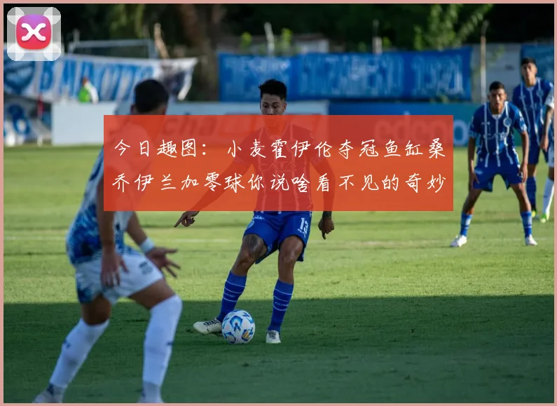 今日趣图：小麦霍伊伦夺冠鱼缸桑乔伊兰加零球你说啥看不见的奇妙瞬间