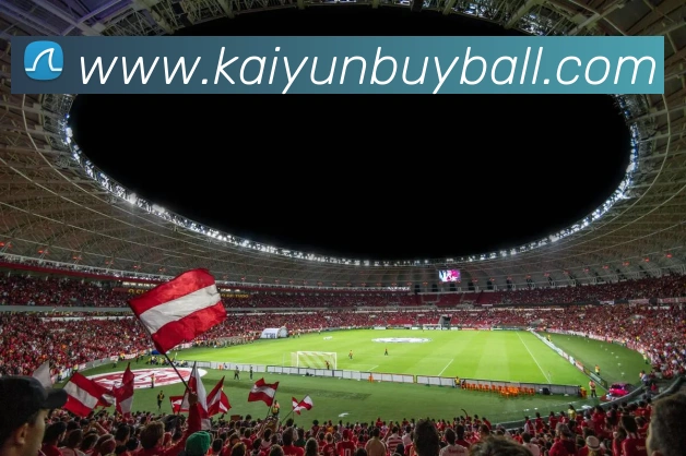 多媒体互动体验