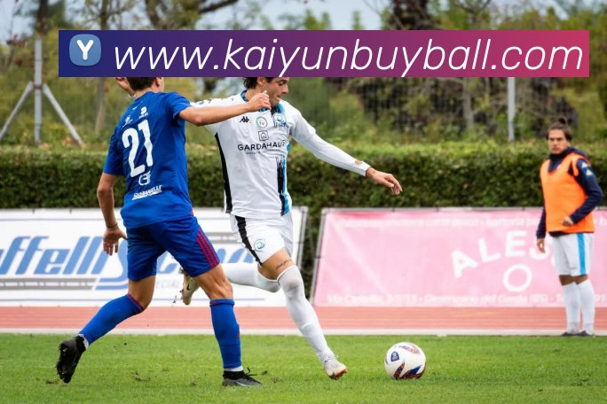 开云体育APP 体育赛事宣传图